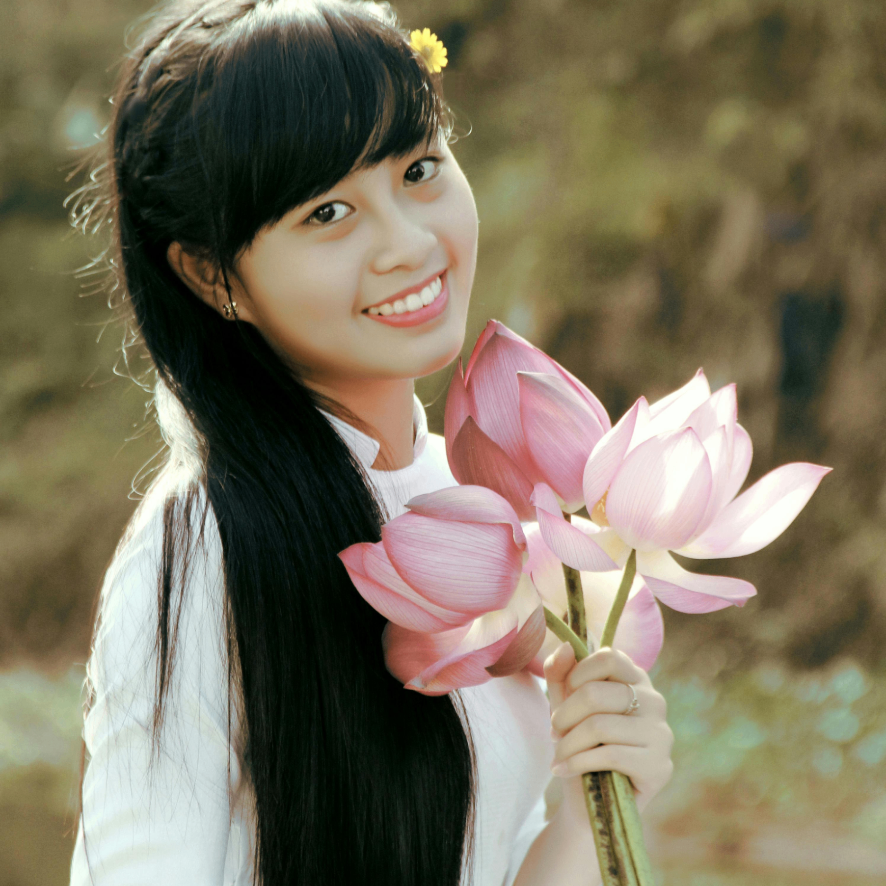 bome342 (bome342.lens) Lens social identity (.lens handle) PFP