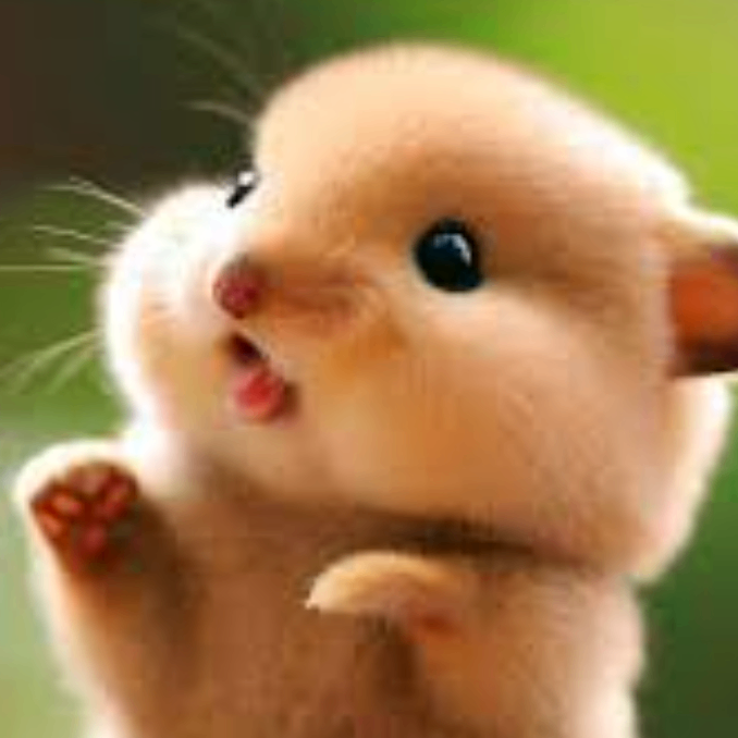 nndfju (mimmmi.lens) Lens social identity (.lens handle) PFP