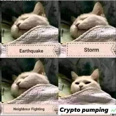 lancelott.lens Lens social identity (.lens handle) PFP