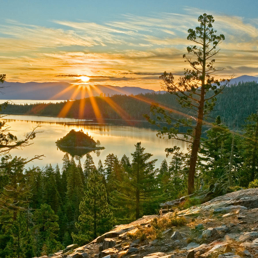 BV (zerolis.lens) Lens social identity (.lens handle) PFP