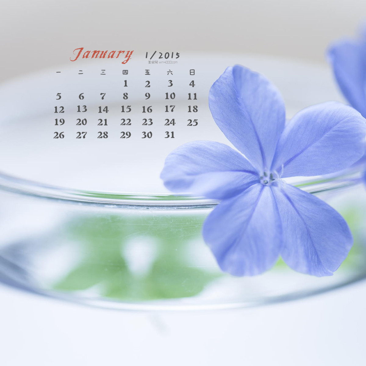 x (chaincharm.lens) Lens social identity (.lens handle) PFP