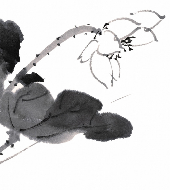 hkl; (cosmion.lens) Lens social identity (.lens handle) PFP