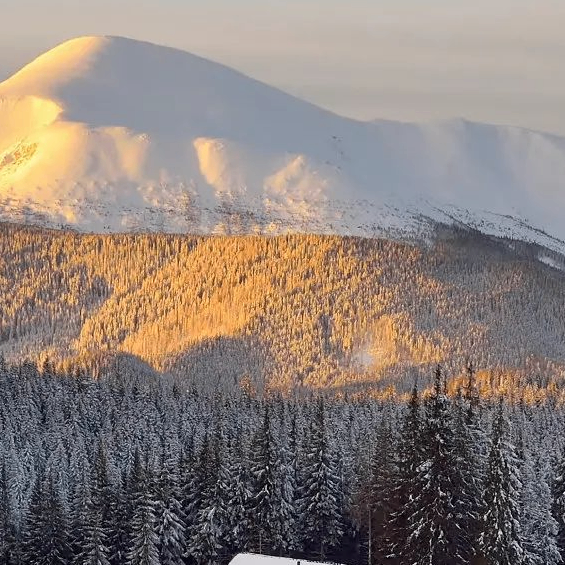 meme (bamao.lens) Lens social identity (.lens handle) PFP