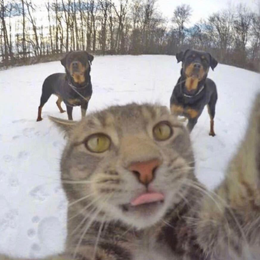 method (wasdjj.lens) Lens social identity (.lens handle) PFP