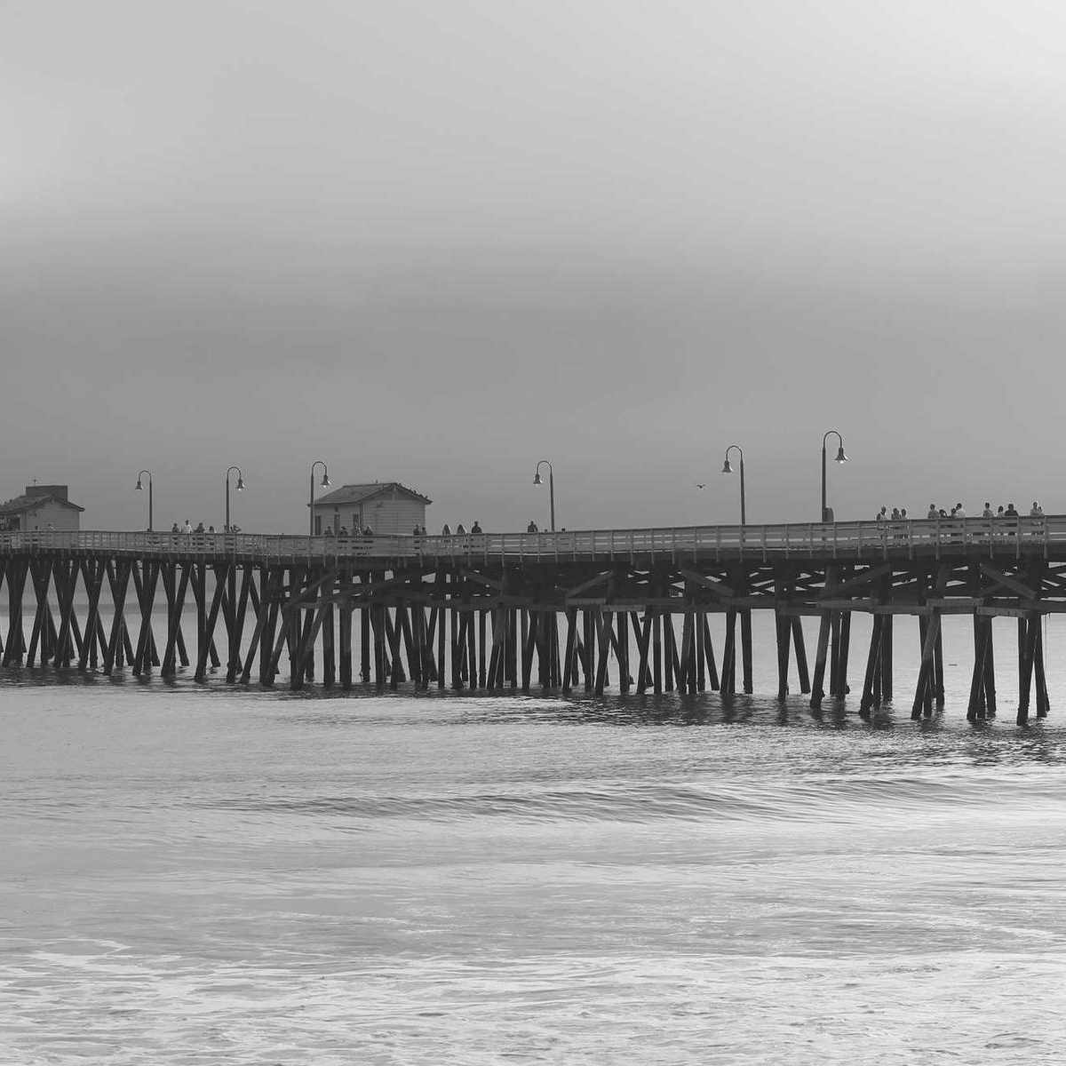 byteBaron (enolyuksel2.lens) Lens social identity (.lens handle) PFP