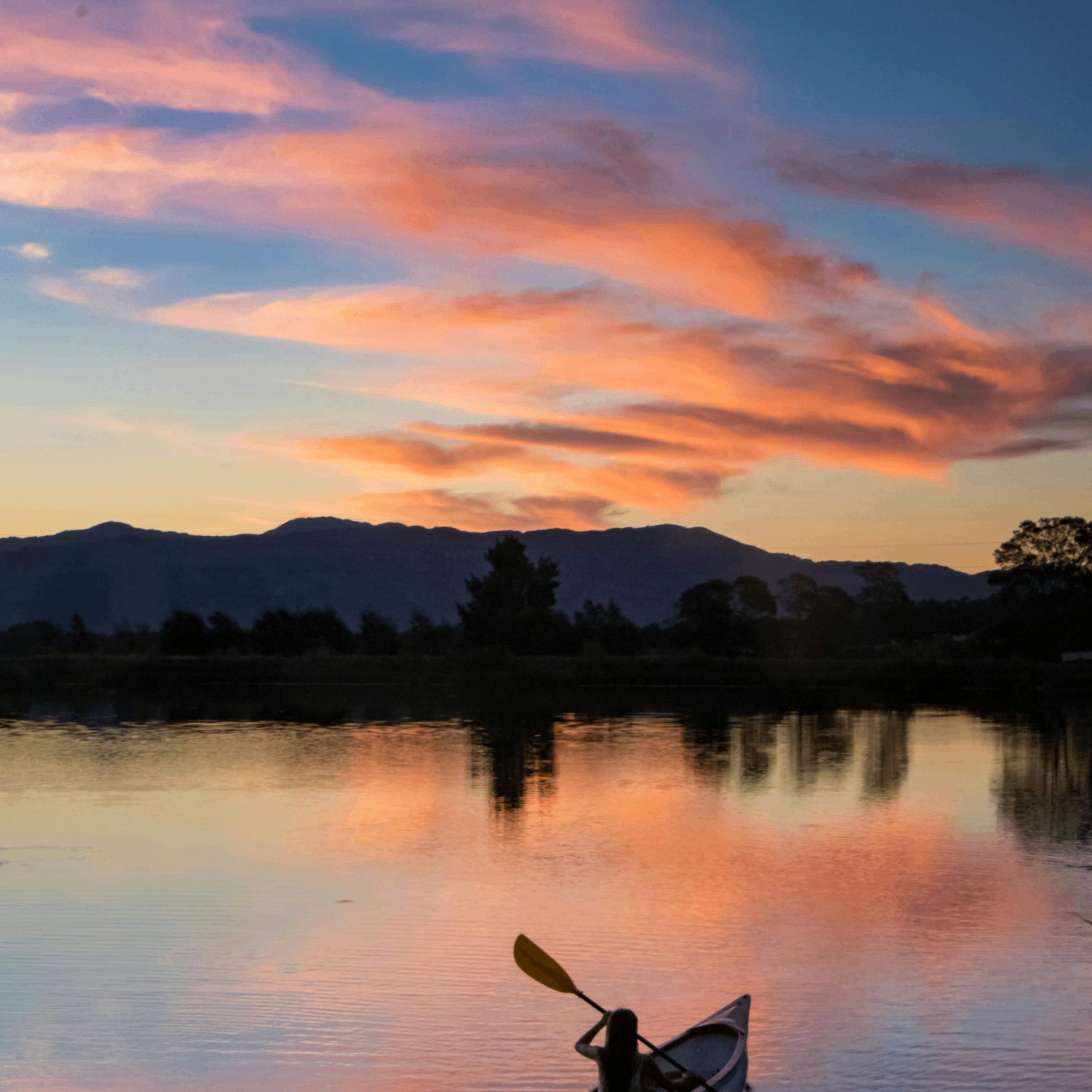 stris (stris.lens) Lens social identity (.lens handle) PFP