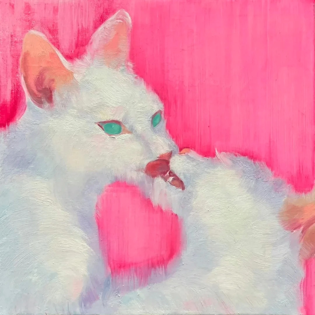 bdnbaf (quincyy.lens) Lens social identity (.lens handle) PFP