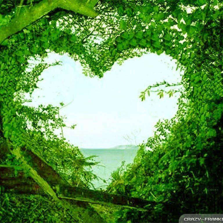 Desudung (sosjz.lens) Lens social identity (.lens handle) PFP