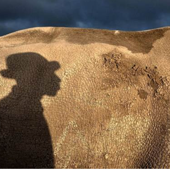 iuiou (whhhhh.lens) Lens social identity (.lens handle) PFP