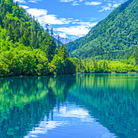 titnig (kikimi.lens) Lens social identity (.lens handle) PFP