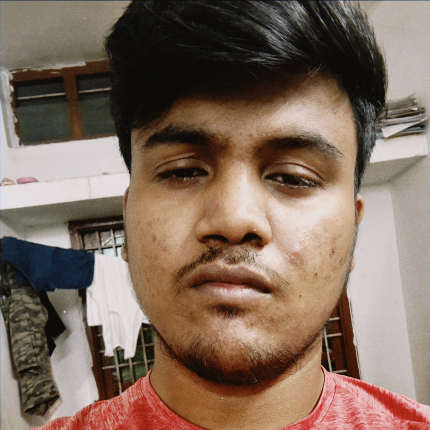 Nocturnal Animal (xerotop.lens) Lens social identity (.lens handle) PFP