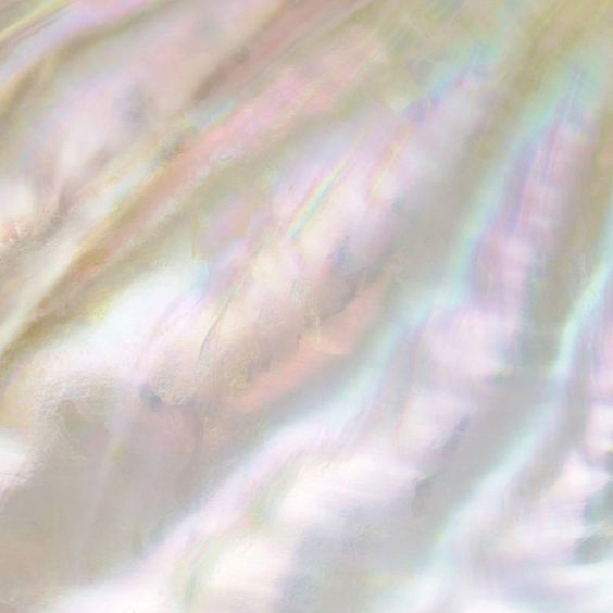 meruertsa (meruertsa.lens) Lens social identity (.lens handle) PFP