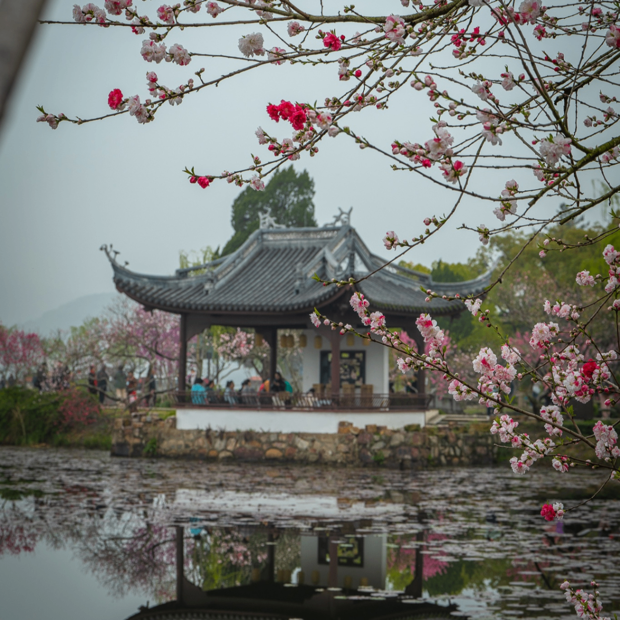 Li Ting (princcess.lens) Lens social identity (.lens handle) PFP