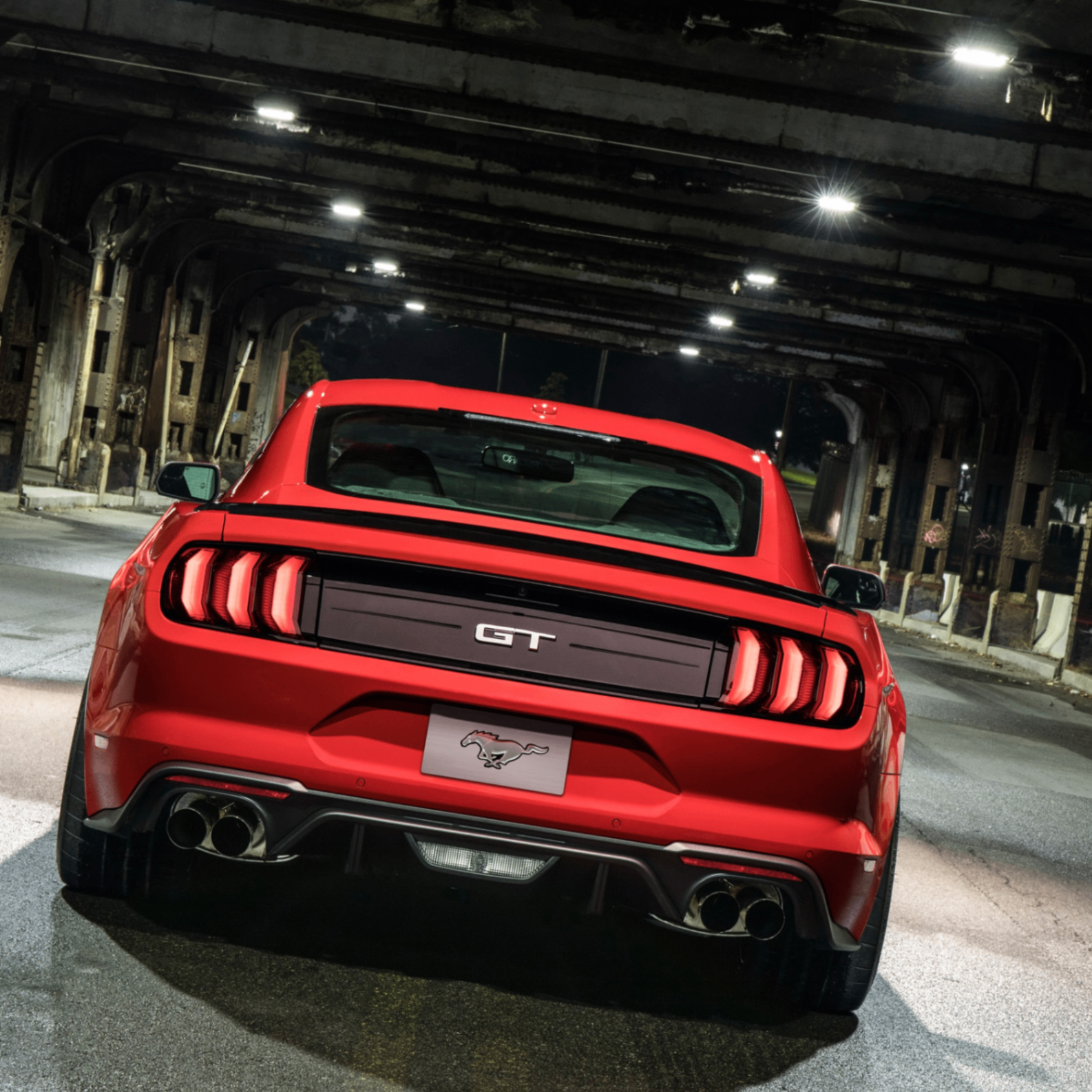 alfreda (alfreda.lens) Lens social identity (.lens handle) PFP