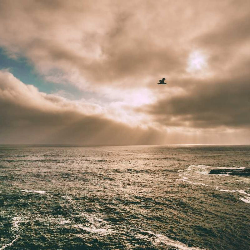 storySage (hazelettw75992.lens) Lens social identity (.lens handle) PFP