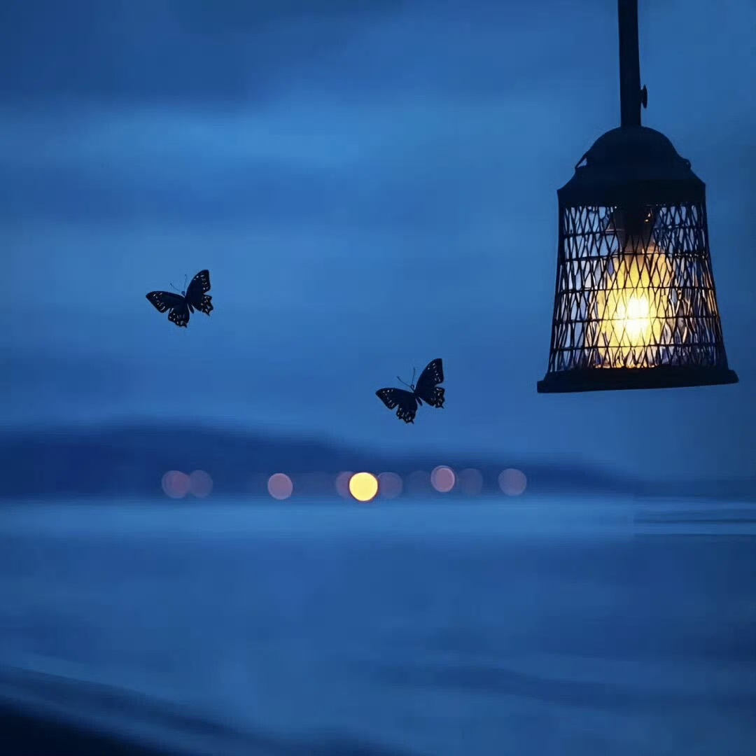 Lucas Daniel Martinez (birthdaay.lens) Lens social identity (.lens handle) PFP