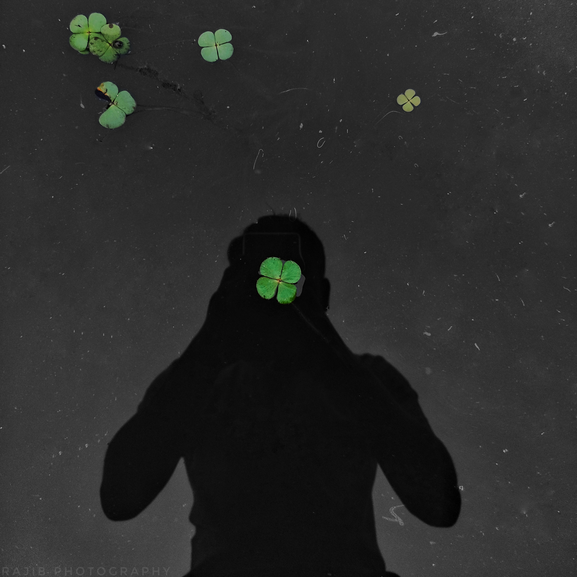 Monk (monk777.lens) Lens social identity (.lens handle) PFP