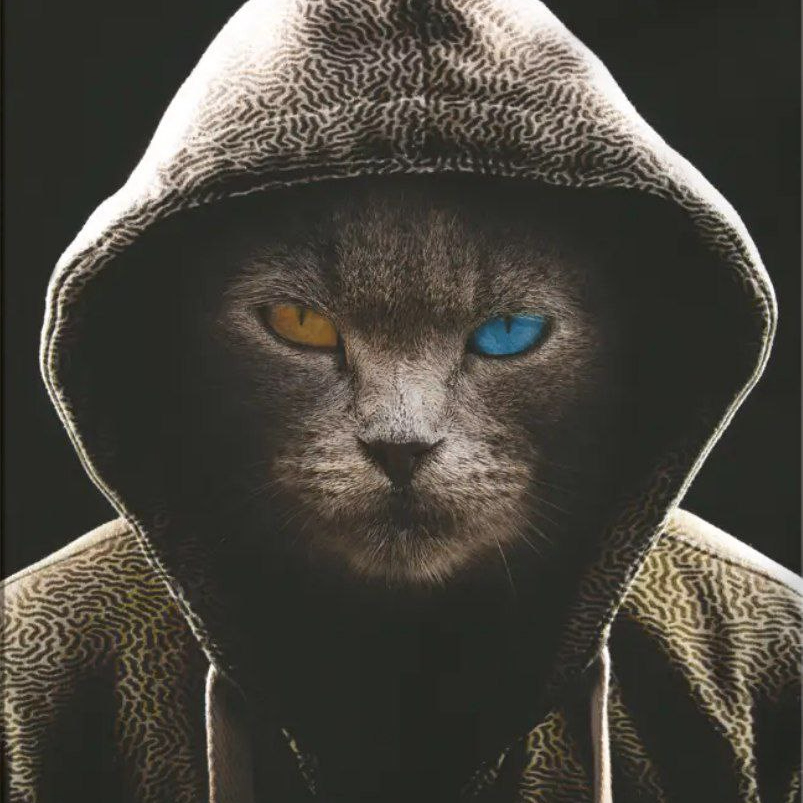 Evgen (evgen16.lens) Lens social identity (.lens handle) PFP