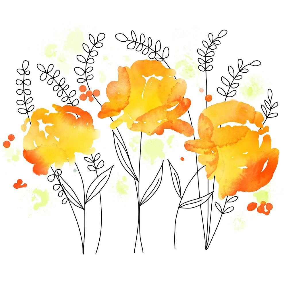 Celina (b50dbb.lens) Lens social identity (.lens handle) PFP