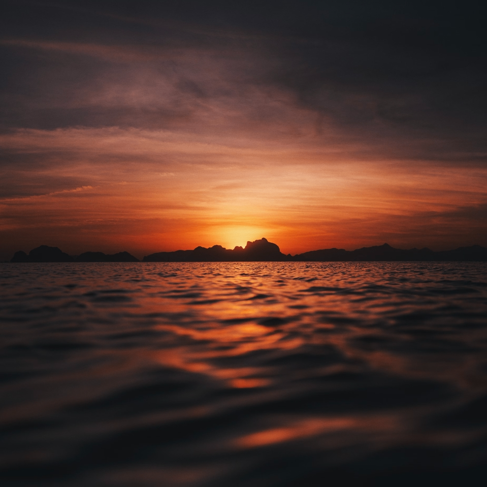 crimson (crimsonwisp.lens) Lens social identity (.lens handle) PFP