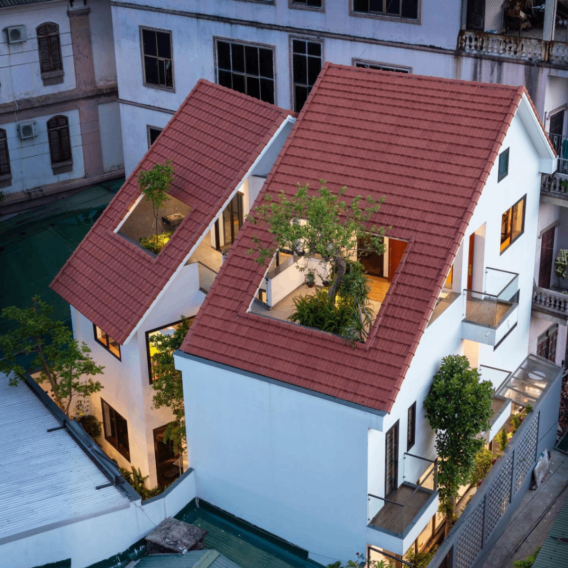 cheatido (cheatido.lens) Lens social identity (.lens handle) PFP