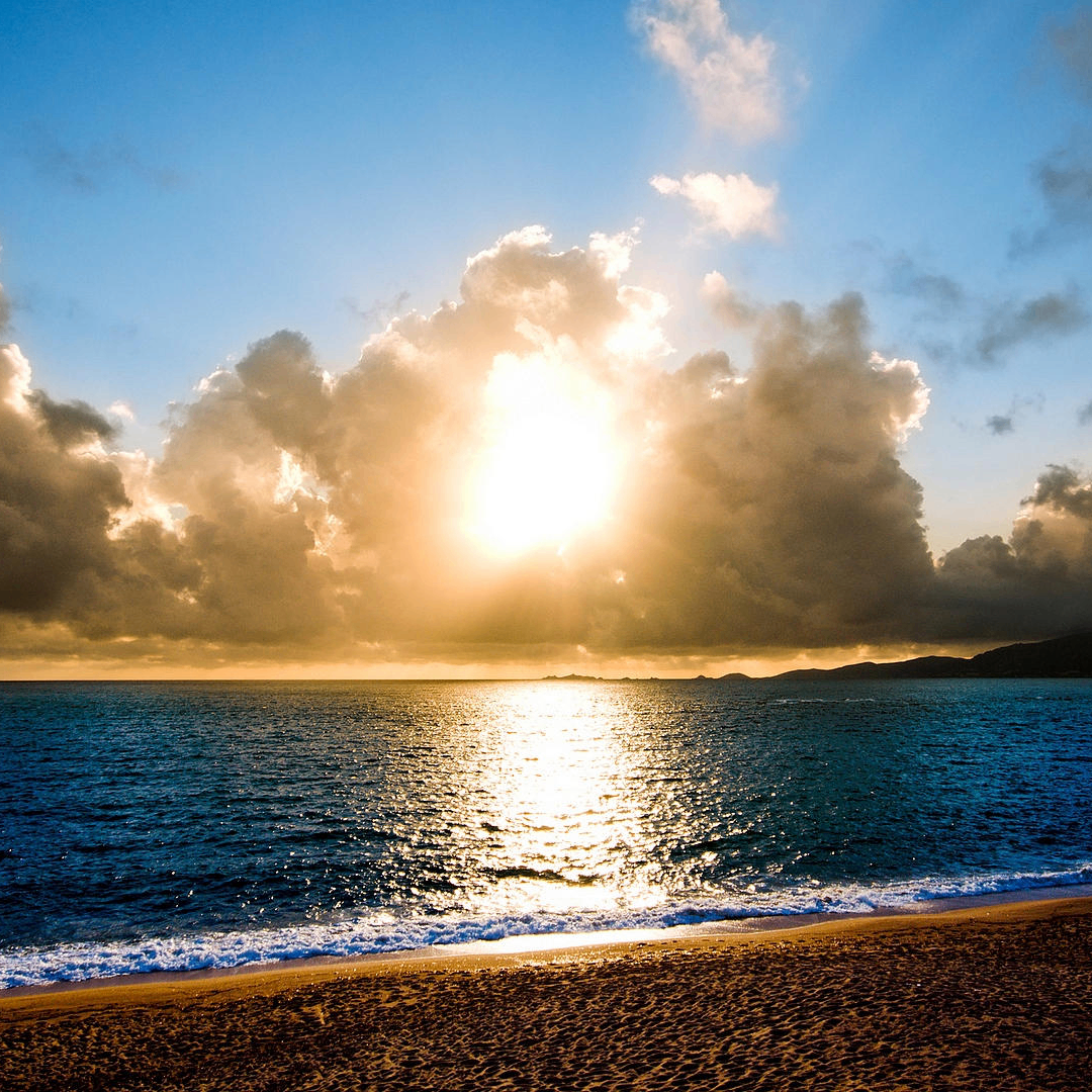 fghfg (verix.lens) Lens social identity (.lens handle) PFP