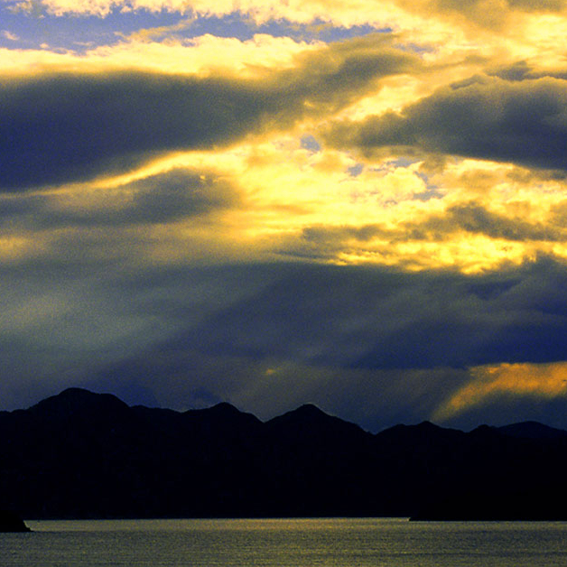 dfg (sfd44.lens) Lens social identity (.lens handle) PFP