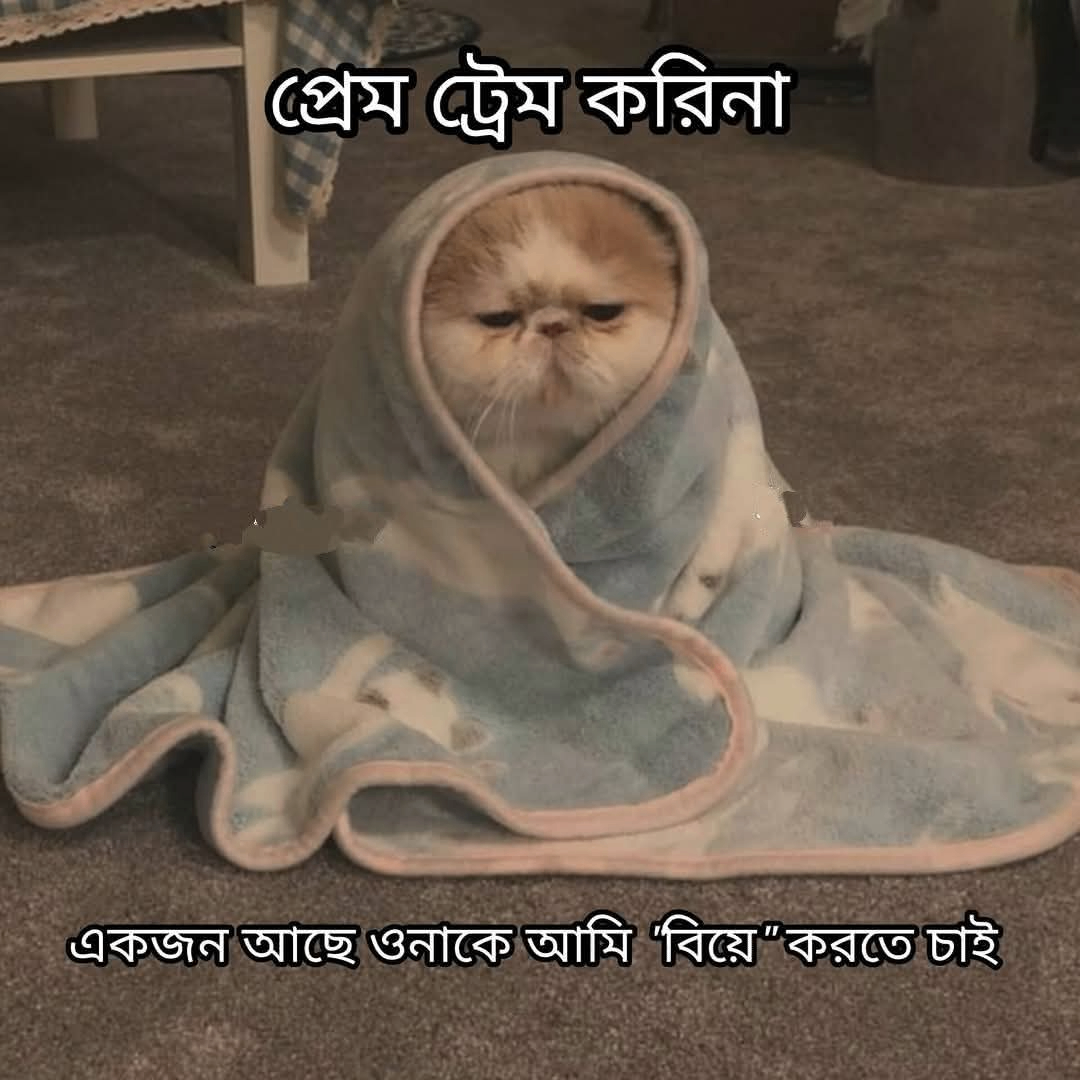 Parvej32 (parvej32.lens) Lens social identity (.lens handle) PFP