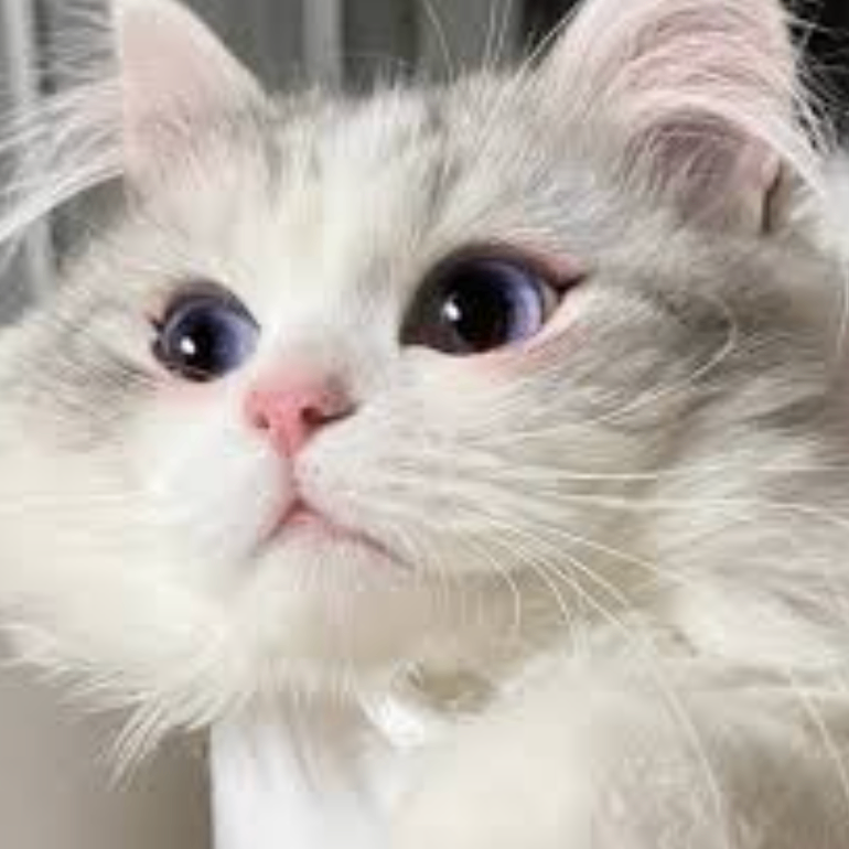 djbjsha (faaaaa.lens) Lens social identity (.lens handle) PFP