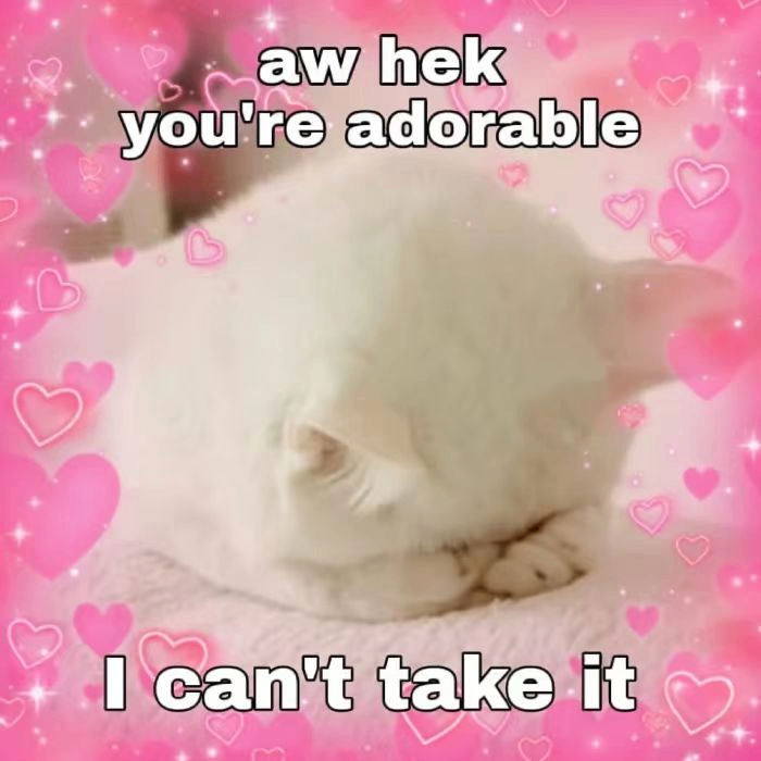 jin (asdasdfffsasfgg.lens) Lens social identity (.lens handle) PFP