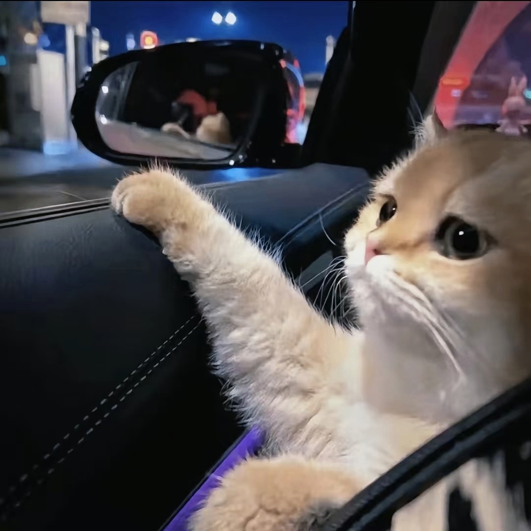 wanxinron (wanxinron.lens) Lens social identity (.lens handle) PFP