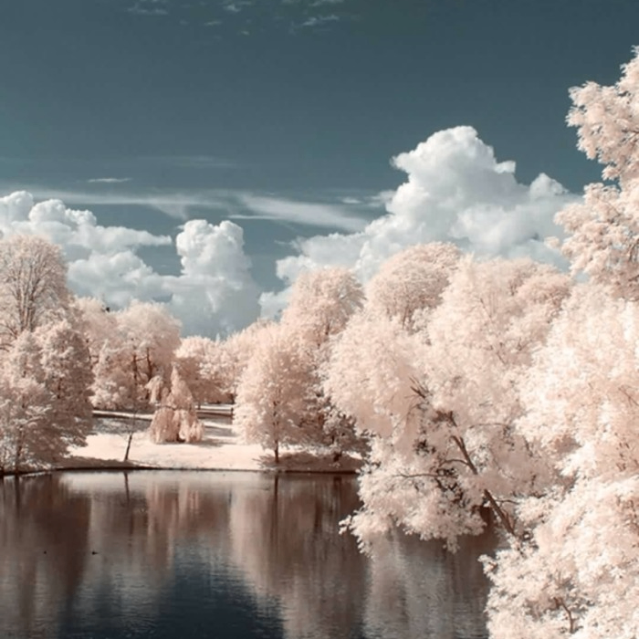 sdfd (prismplanet.lens) Lens social identity (.lens handle) PFP