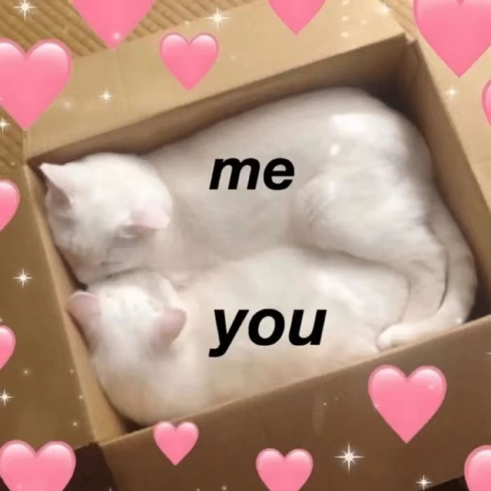 comeaux cochran (safgawg.lens) Lens social identity (.lens handle) PFP