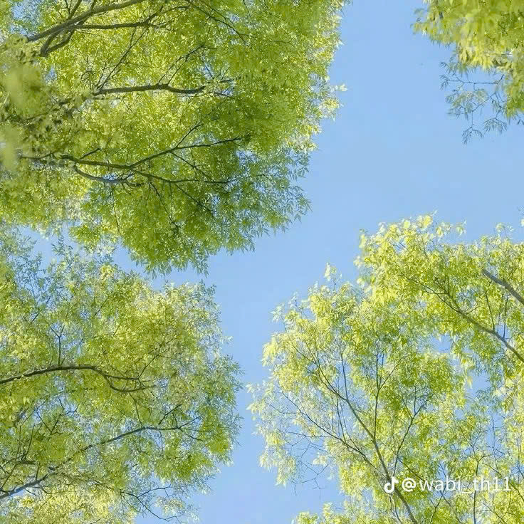 Aadash (aadash.lens) Lens social identity (.lens handle) PFP