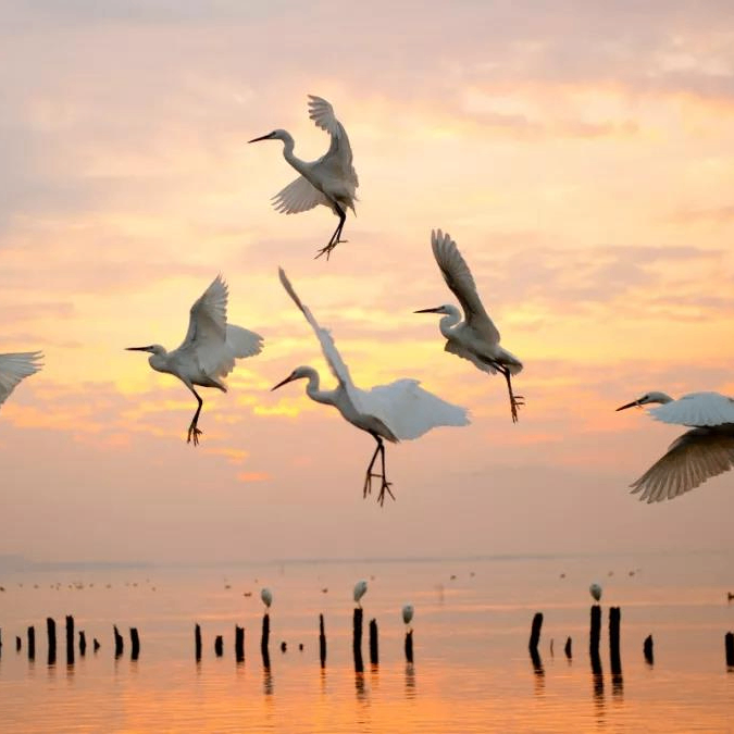 Jamie Powell (nnnnnj.lens) Lens social identity (.lens handle) PFP