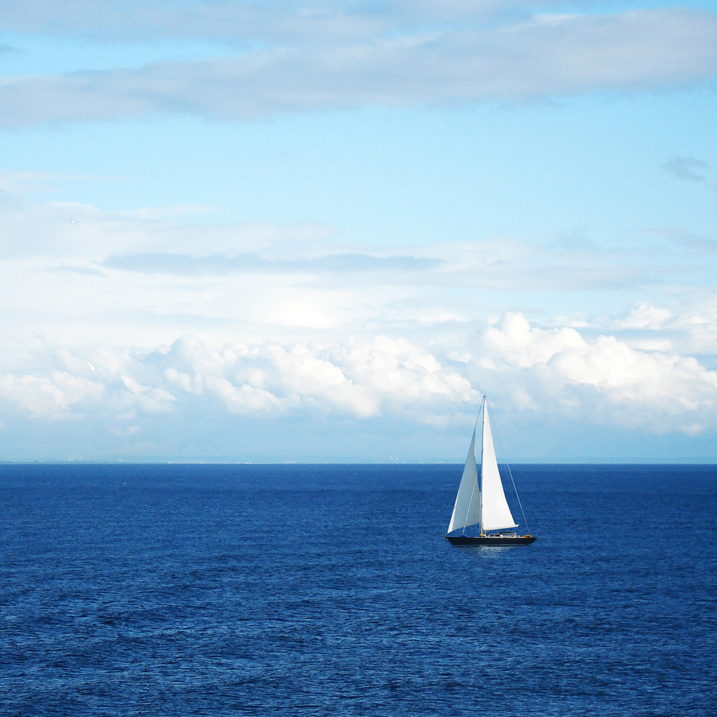 Jack Mitchell (shylie.lens) Lens social identity (.lens handle) PFP