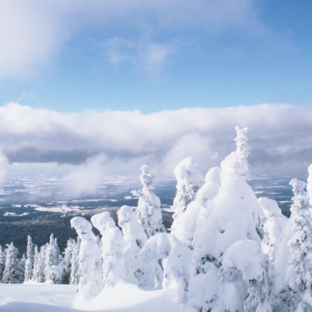 5 (blockbloom.lens) Lens social identity (.lens handle) PFP