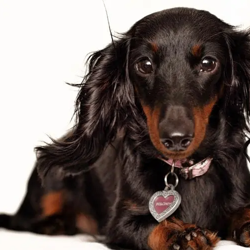 Marina Jonah (eeeeeo.lens) Lens social identity (.lens handle) PFP