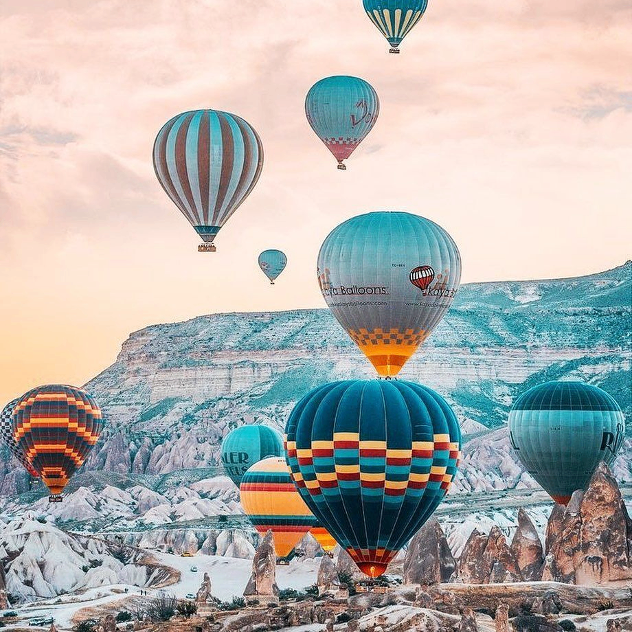 waxia (waxia.lens) Lens social identity (.lens handle) PFP