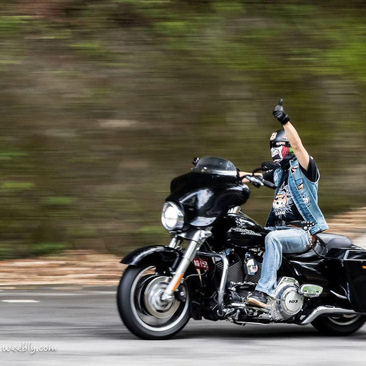 broadbent koral (femwniohcz.lens) Lens social identity (.lens handle) PFP