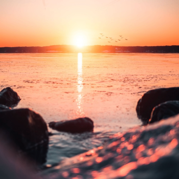 jiw (ccccn.lens) Lens social identity (.lens handle) PFP