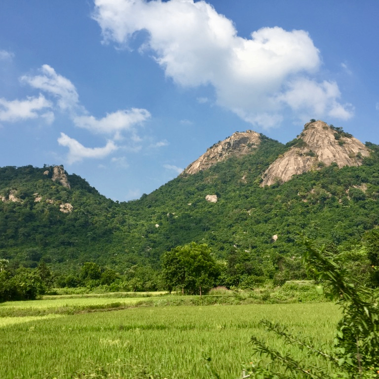 Purulia (purulia.lens) Lens social identity (.lens handle) PFP