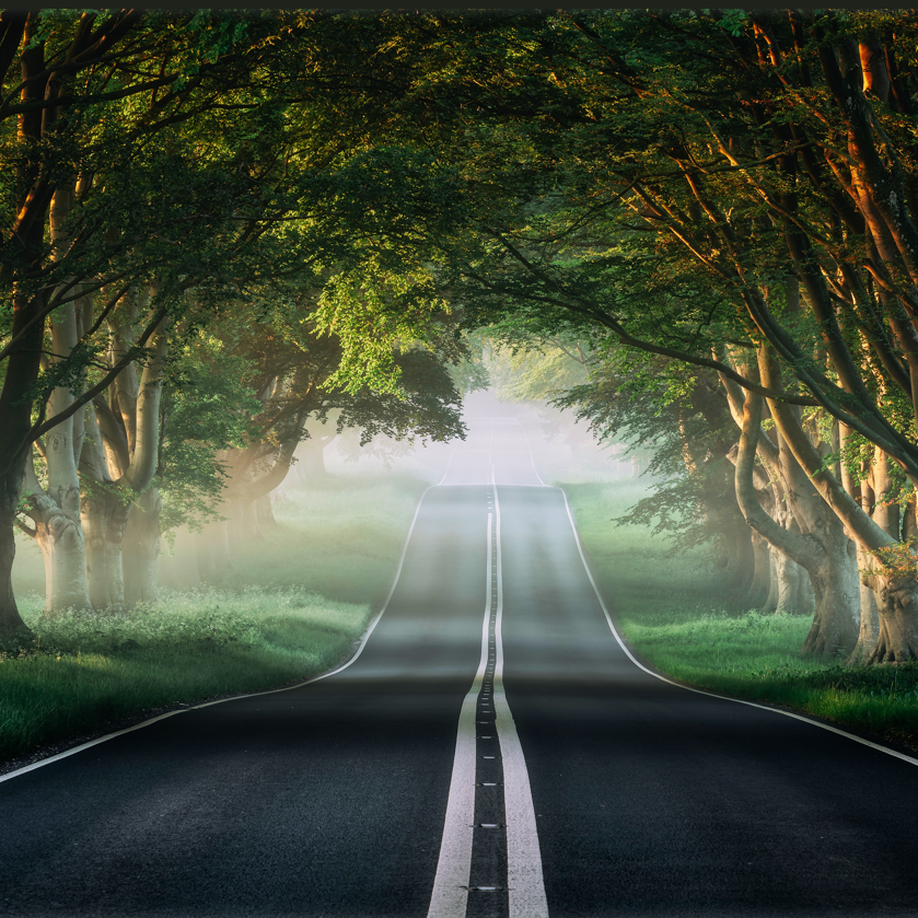 txj334 (jt4fs.lens) Lens social identity (.lens handle) PFP