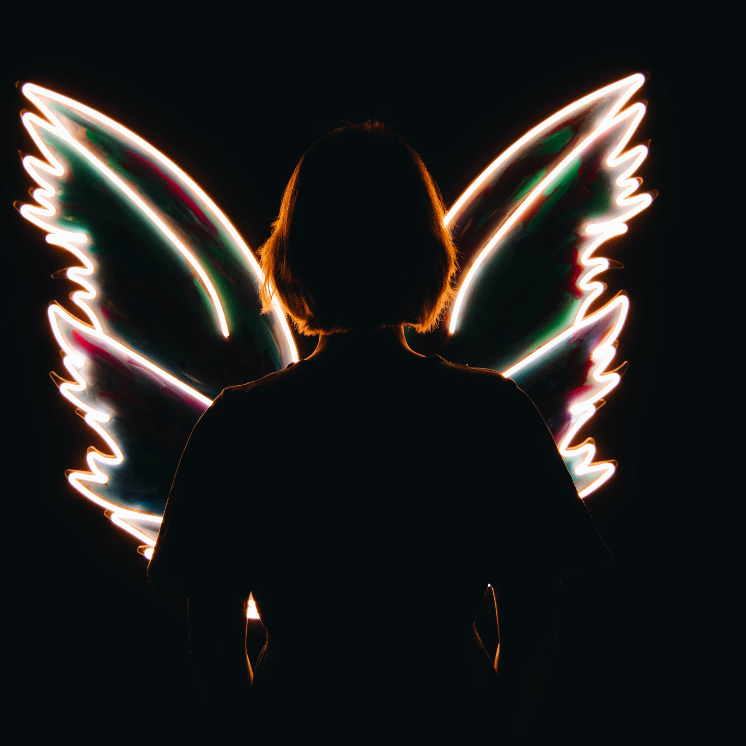 ## (shibainuprice.lens) Lens social identity (.lens handle) PFP