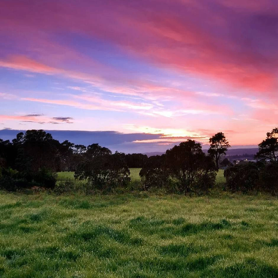 钓鱼佬 (bokkiiuu.lens) Lens social identity (.lens handle) PFP