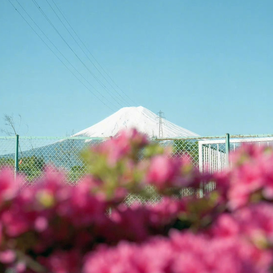 iviiy (iviiy.lens) Lens social identity (.lens handle) PFP