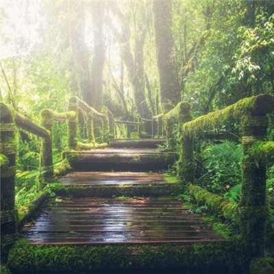 jwsbnn (donnar.lens) Lens social identity (.lens handle) PFP