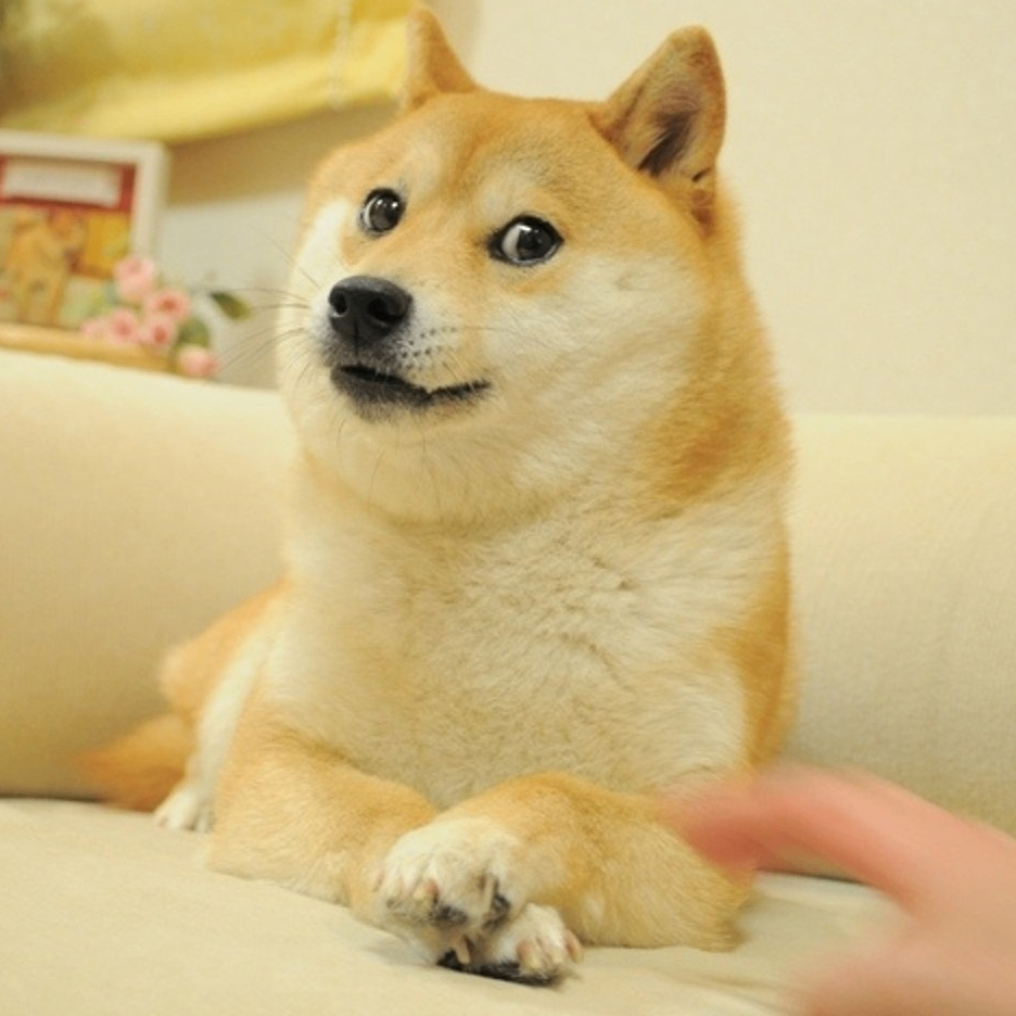 pavitri (pavitri.lens) Lens social identity (.lens handle) PFP