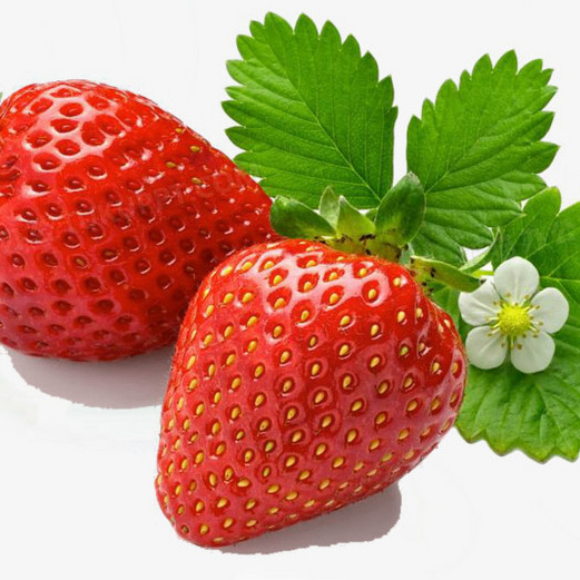 Edwiin Arnold (nnnnnl.lens) Lens social identity (.lens handle) PFP