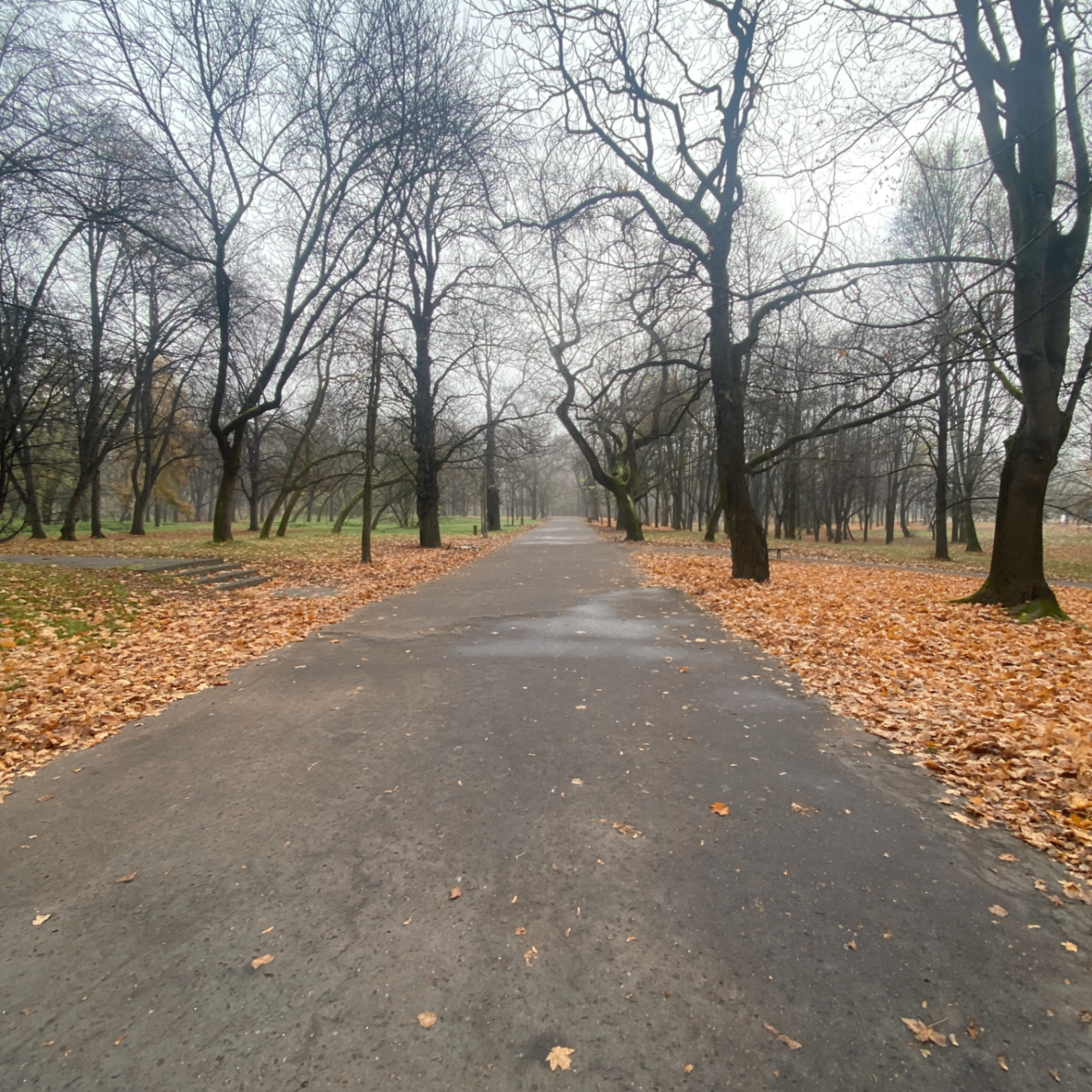 crull3 (crull3.lens) Lens social identity (.lens handle) PFP